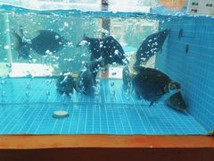 -回头食客-李久其家民间餐厅(望城金桥国际店)