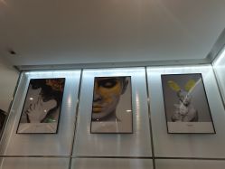 -崇尚GAVIN STYLE臻选