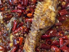 -鱼酷活鱼烤鱼(沈阳大悦城店)