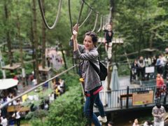 -梦幻奥陶纪景区