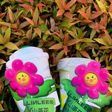 秋天第一杯奶茶🍃LINLEE山茶花柠檬茶好喝！