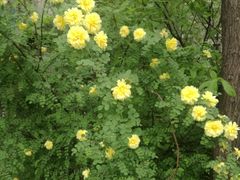 -长春公园(普阳街道)