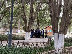 -武汉园博园(武汉自然博物馆)