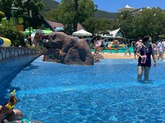 -苏州乐园森林水世界