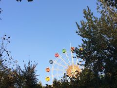 -西安市长乐公园