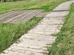 -滨湖塘西河公园