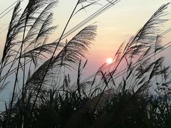 -小南山公园