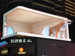 -黄兴南路步行商业街