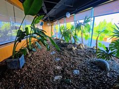 -云里小坐·海泉湾·团建·宴席·下午茶(金堂海泉湾店)