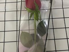 -海底捞火锅(长沙华创国际广场店)