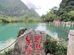-靖西鹅泉风景区