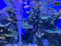 -正佳极地海洋世界