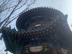 -迎泽公园