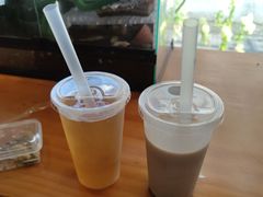 -吉丁鸟咖·异宠·寄养