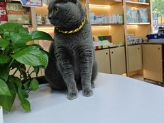 -贝利宠物医院·骨科·眼科·肿瘤转诊中心(南坪诊疗中心)
