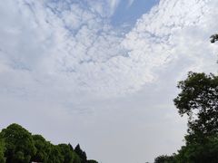 -三林塘老街