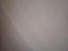 -巢爷老味(东方红店)