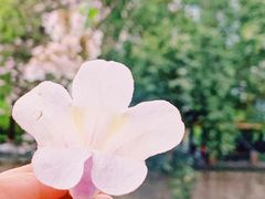 -红星桥(地铁站)