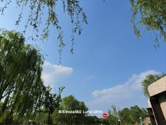 -大望京公园