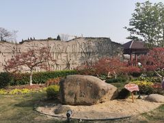 -嘉定紫藤园