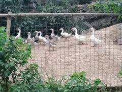 -谭家菜农夫山庄