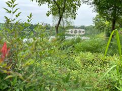 -眉山湿地公园(东坡区)