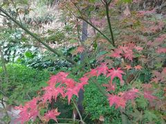 -乌山风景区