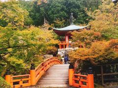 -醍醐寺
