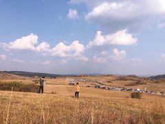 -御道口草原森林风景区