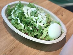 -油梨树AVOCADO TREE(望京店)