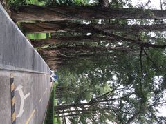 中山大学(南校区)-中山大学学者灵芝(园南路店)