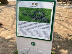 -野象谷景区