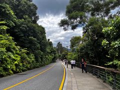 -深圳仙湖植物园