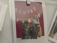 -瑞派康怡24h宠物医院·犬猫医疗中心·微创绝育(瑞景分院)