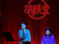 -胡桃里音乐酒馆(华侨城创意园店)
