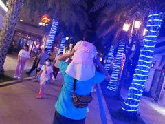 -三亚海昌梦幻海洋不夜城