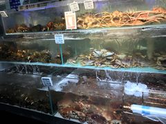 -超级物种(省府店)