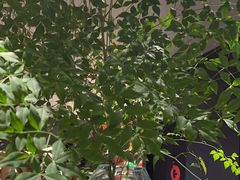 -六月雪干锅(绵阳王府井百货店)