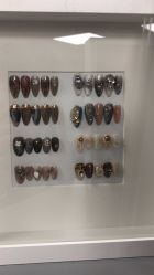 -摩睫+皮肤管理·科学美容中心