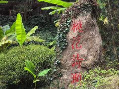 -桃花岛风景旅游区
