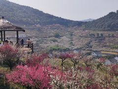 -原乡小镇度假乐园