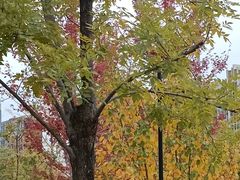 -元大都城垣遗址公园