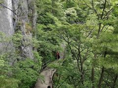 -秦岭天竺山景区