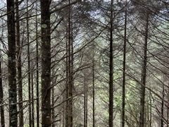 -硗碛藏寨·神木垒景区