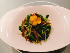 黑腐竹豆苗-北京厨房(西安SKP店)