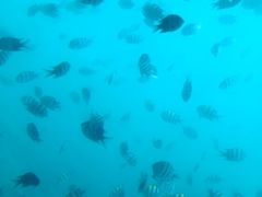 -亚龙湾海底世界