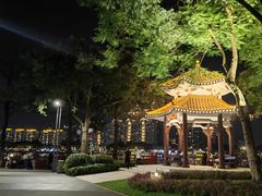-海心沙亚运公园