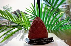 Sea Salt Chocolate Mousse