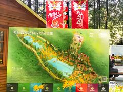 -灵栖洞天