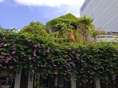 -Cuc Gach Quan Restaurant